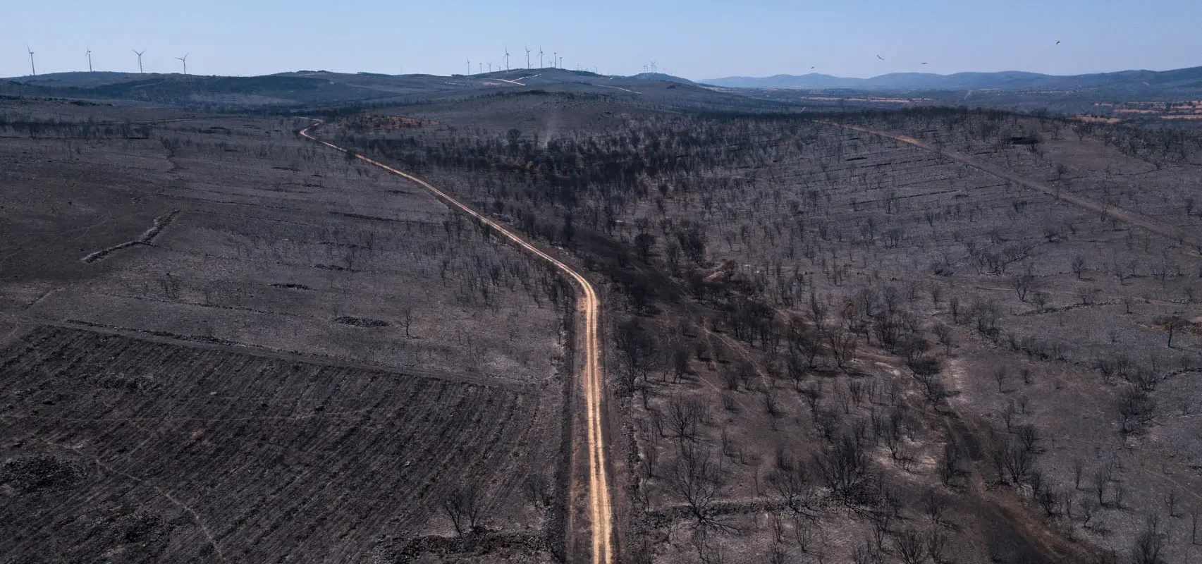 Vista aérea de la zona quemada en los incendios de la Sierra de la Culebra de 2022. Foto Emilio Fraile.
