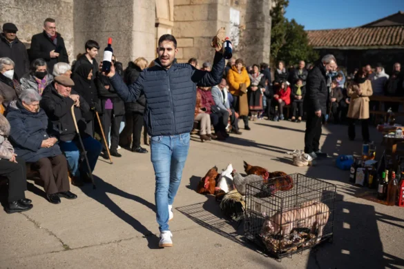 Subasta de San Antonio Abad en Domez.