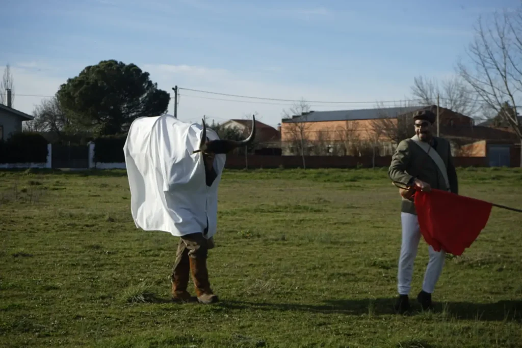 Toro de Carnaval en Morales de Valverde.