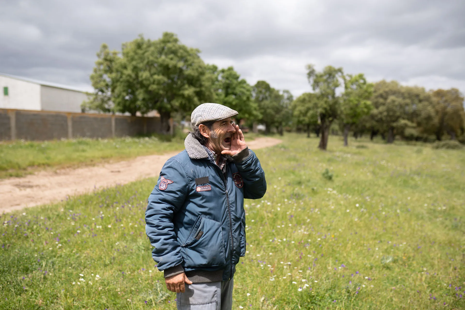 Pedro Calvo llama al ganado. Foto Emilio Fraile.