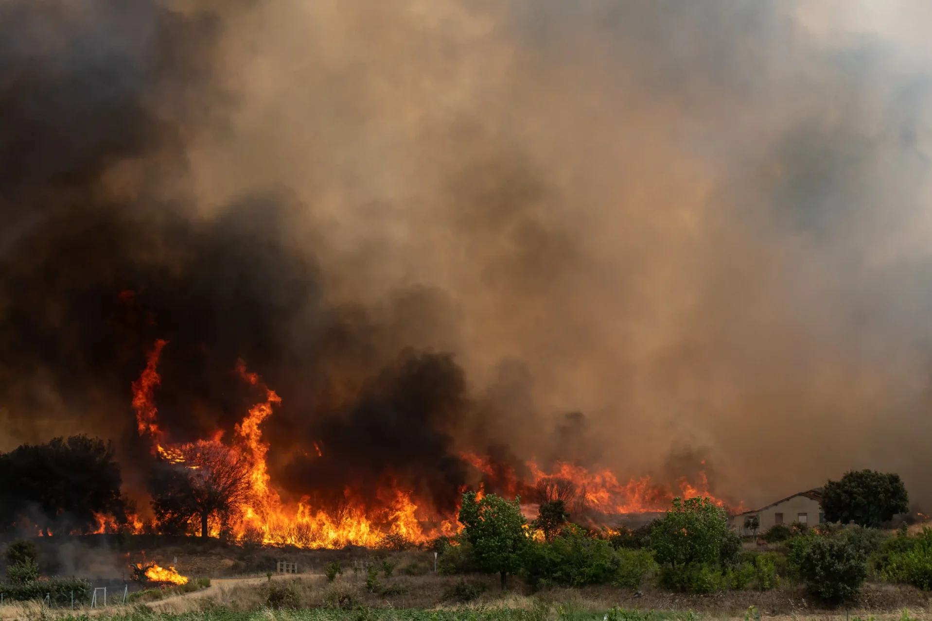 La zona de las bodegas de Pumarejo de Tera, durante el incendio. Foto Emilio Fraile.