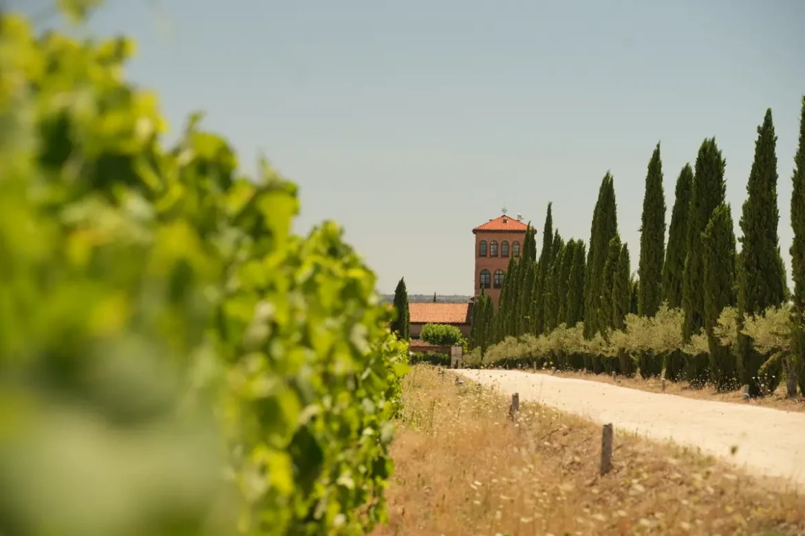 Hacienda Zorita, en Fermoselle.