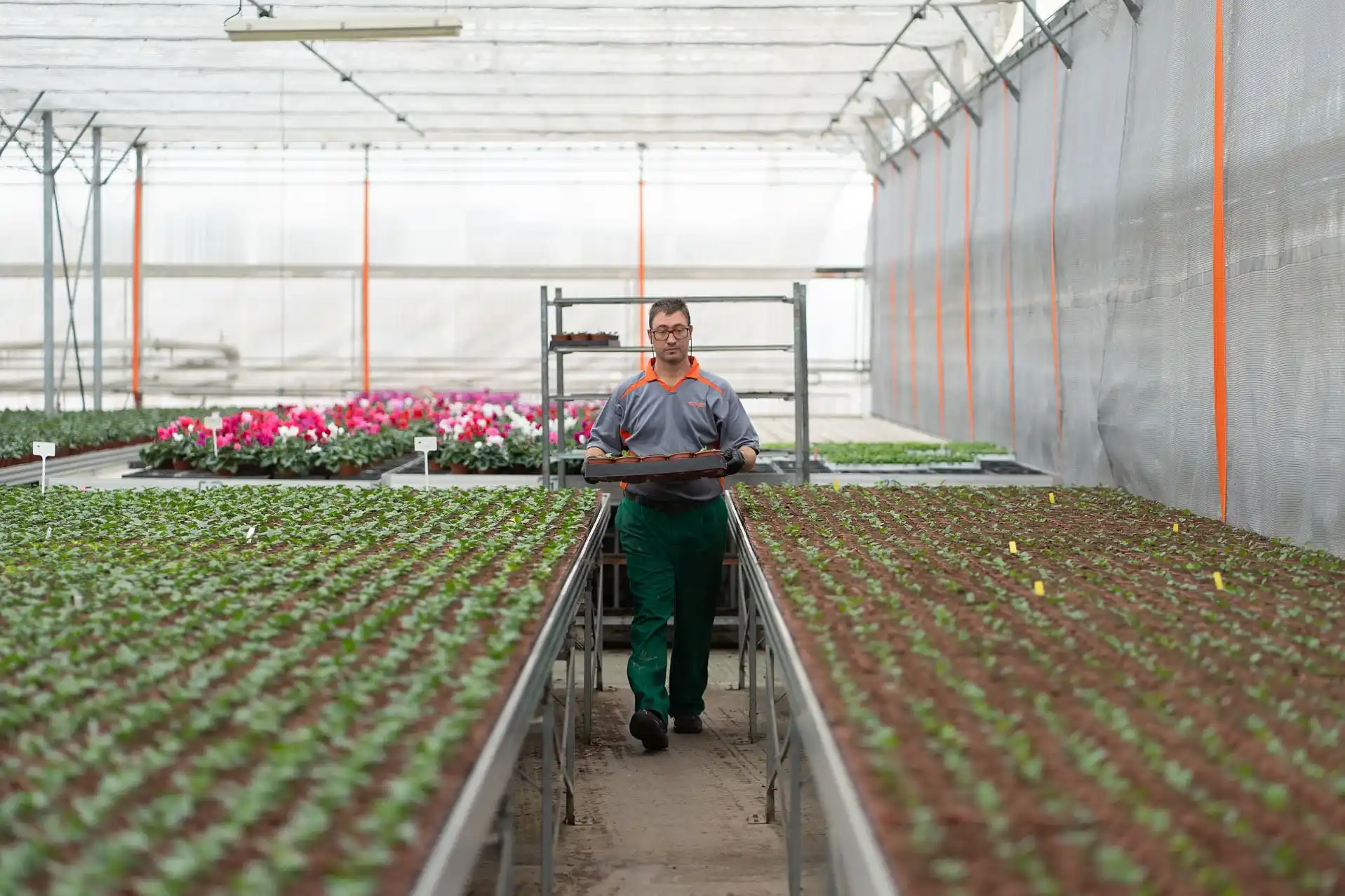 Vivero en las instalaciones de la Fundación Personas en Morales del Vino.