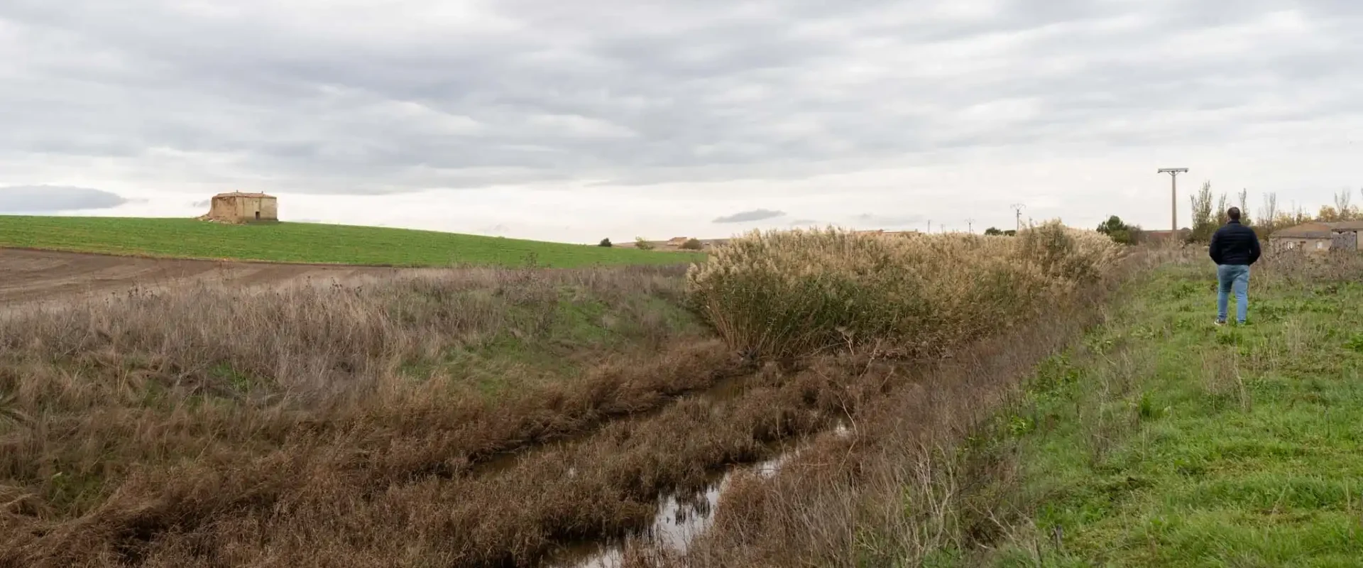 Arroyo Salado, en Villarrín, con maleza y basura en el cauce.