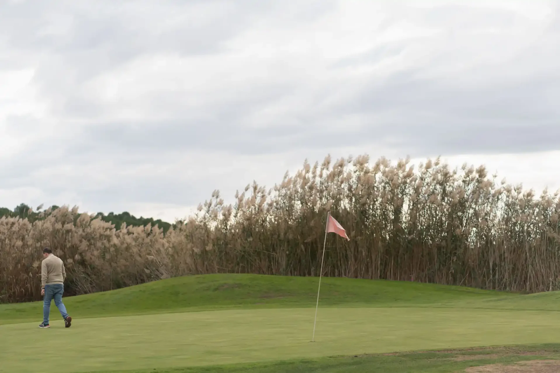 Los juncos en el campo de golf. Foto Emilio Fraile