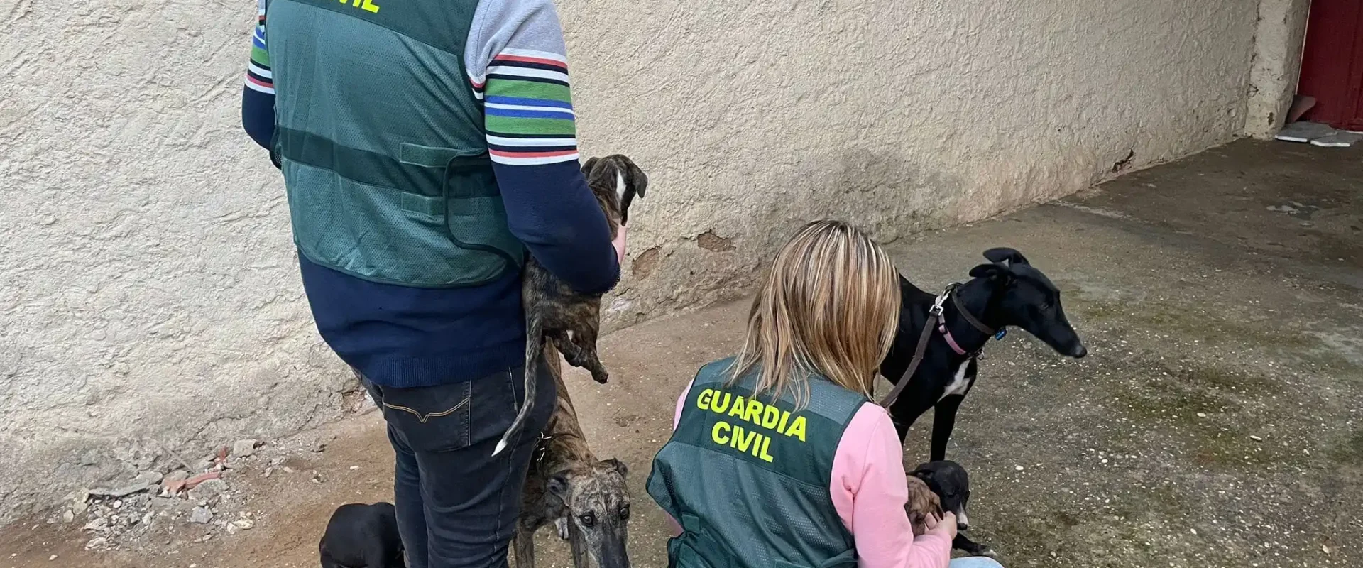 Los agentes, con varios de los galgos recuperados.