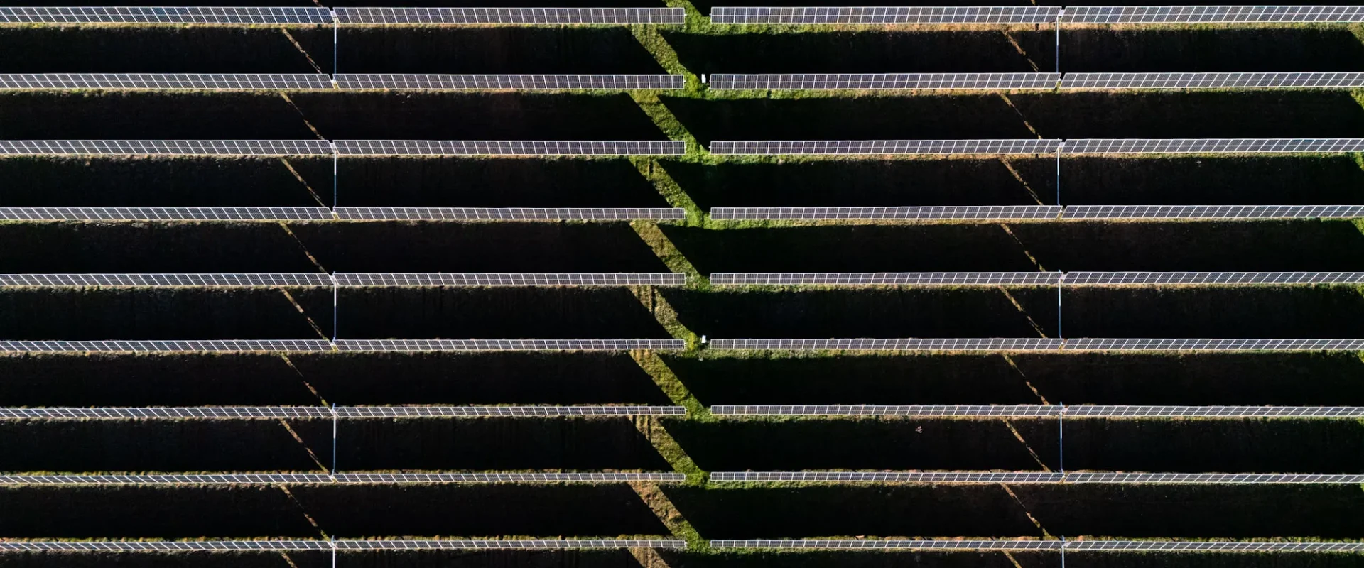 Placas solares en la provincia de Zamora. Foto Emilio Fraile