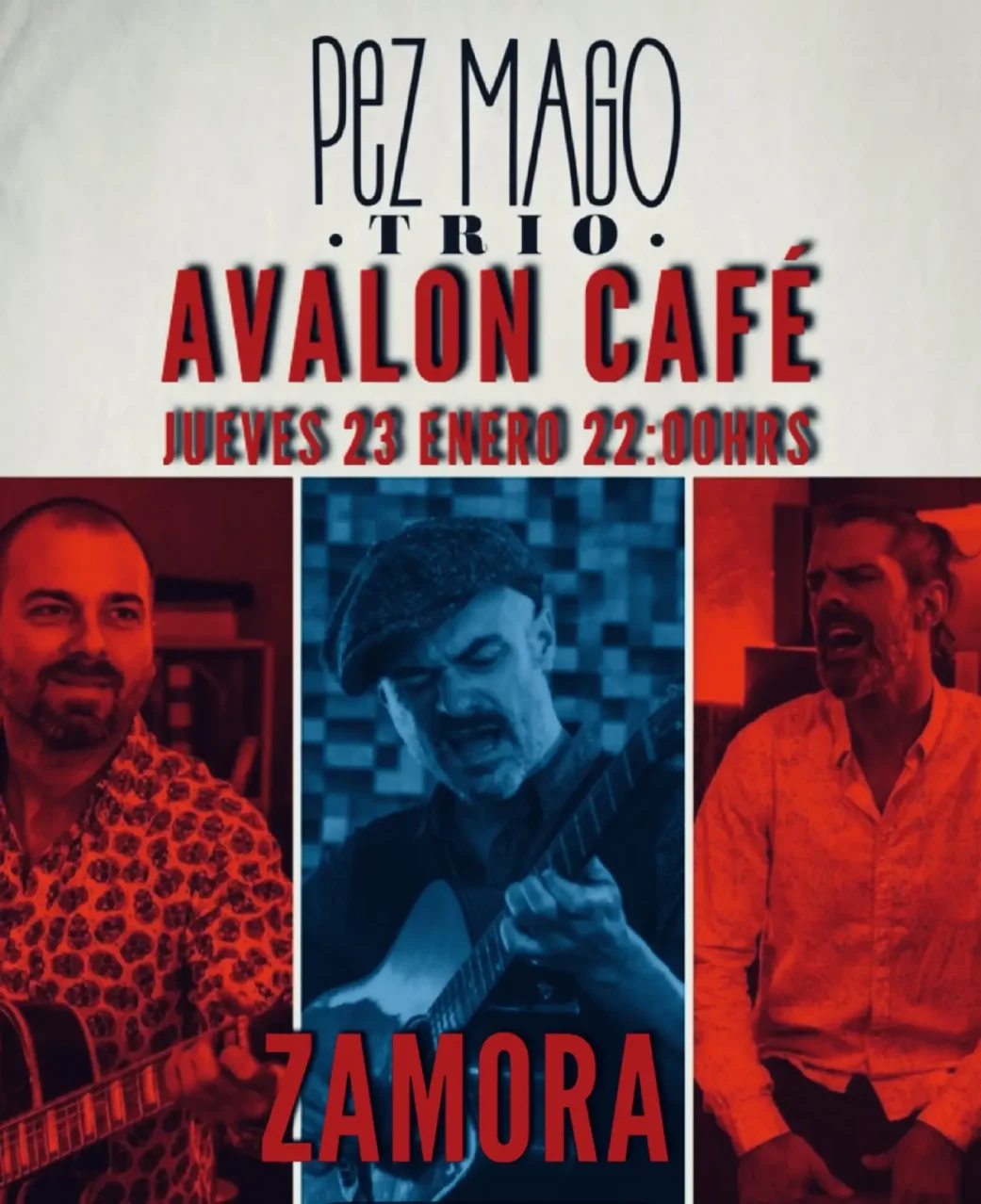 Cartel del concierto en Zamora del espectáculo Pez Mago Trío