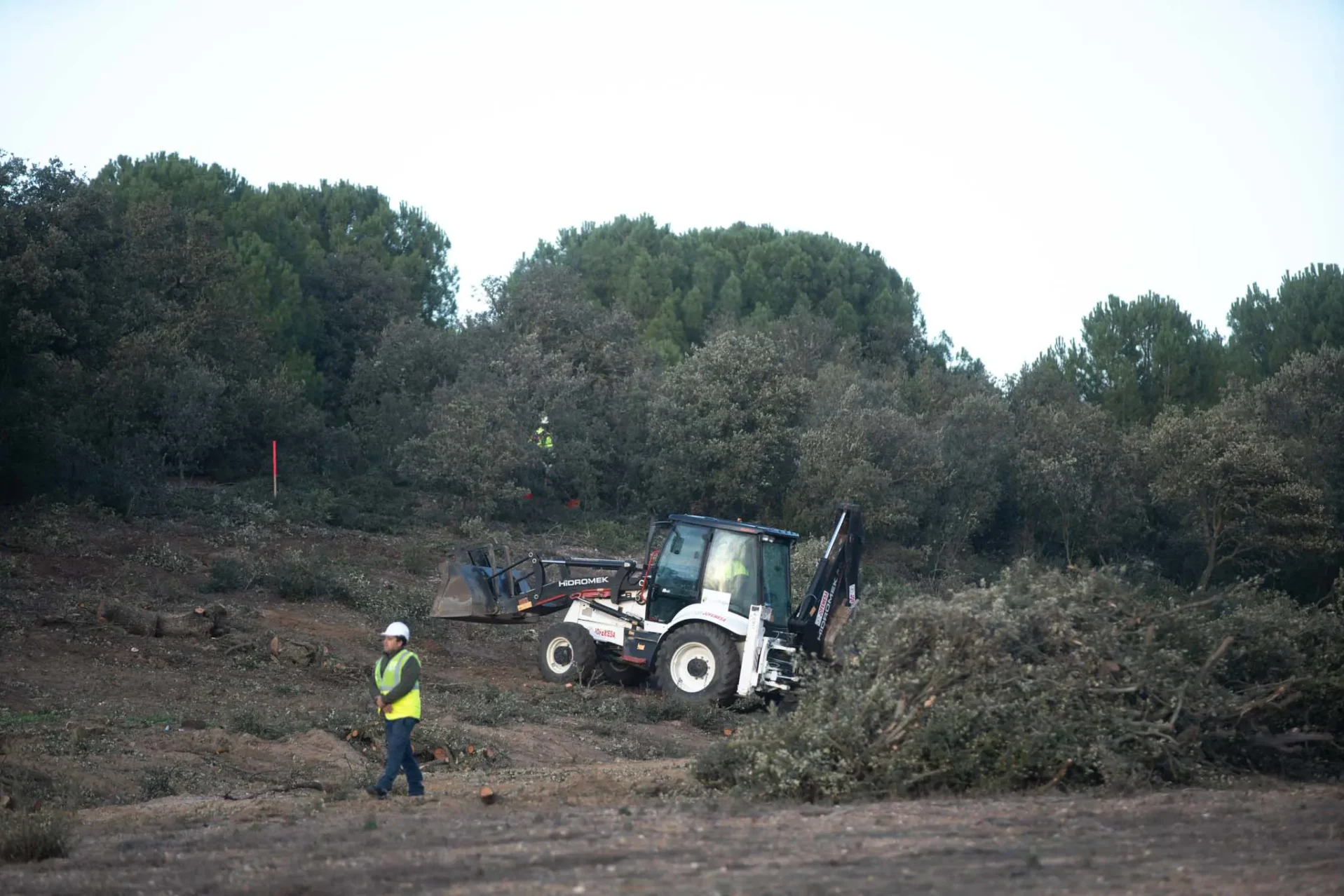 Trabajos de desbroce en las instalaciones de Monte la Reina. Foto Emilio Fraile.