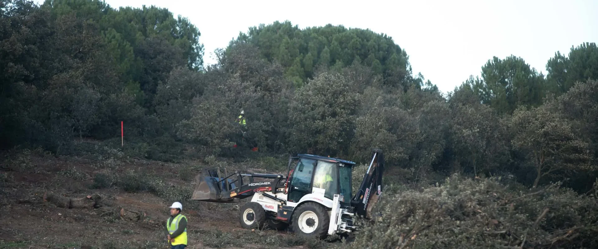 Trabajos de desbroce en las instalaciones de Monte la Reina. Foto Emilio Fraile.