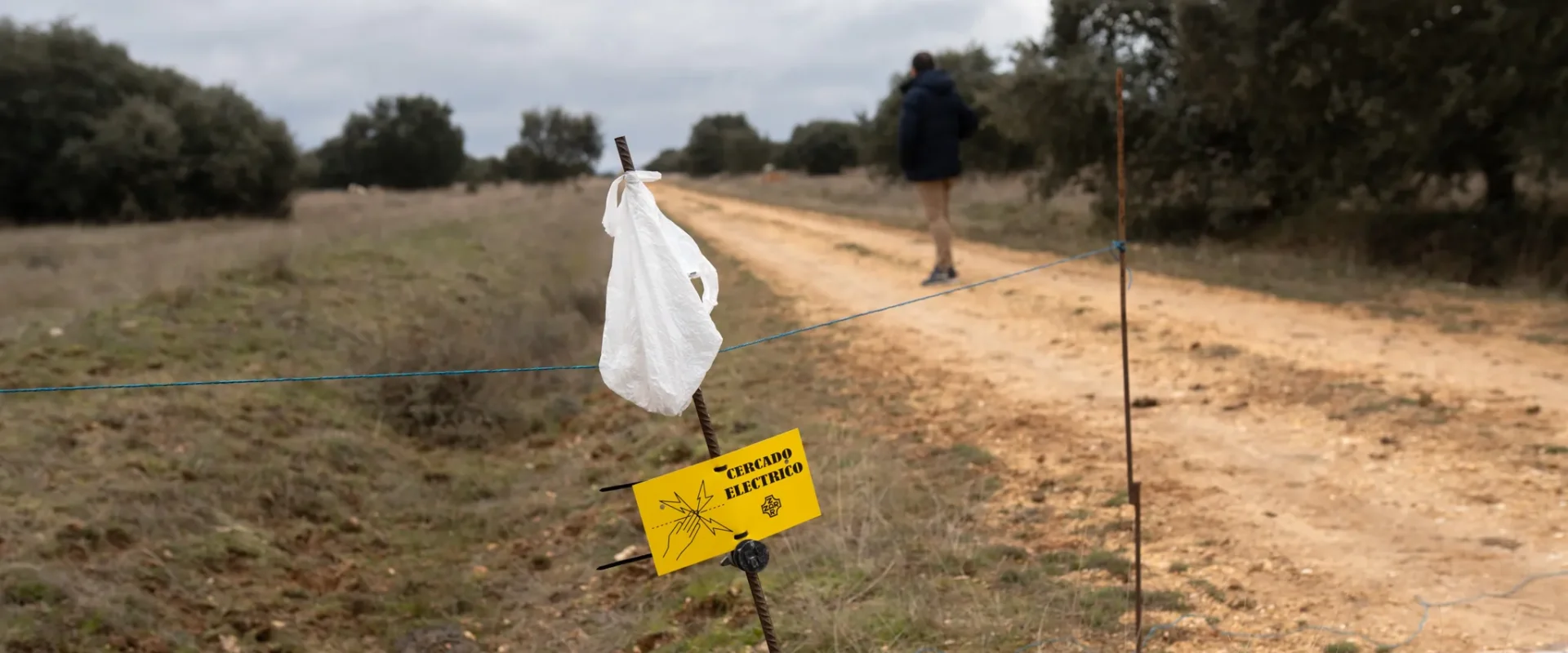 Un camino, cercado con un pastor eléctrico. Foto Emilio Fraile