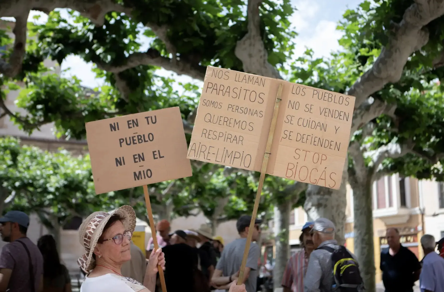 Captura de pantalla 2025-10-31 a las 8.33.50_result