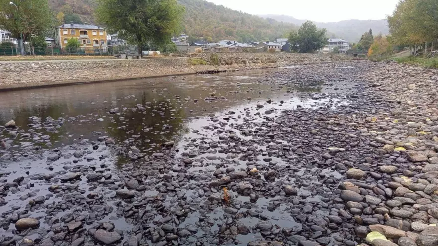bibei
