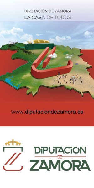 banner-diputacion_300x600